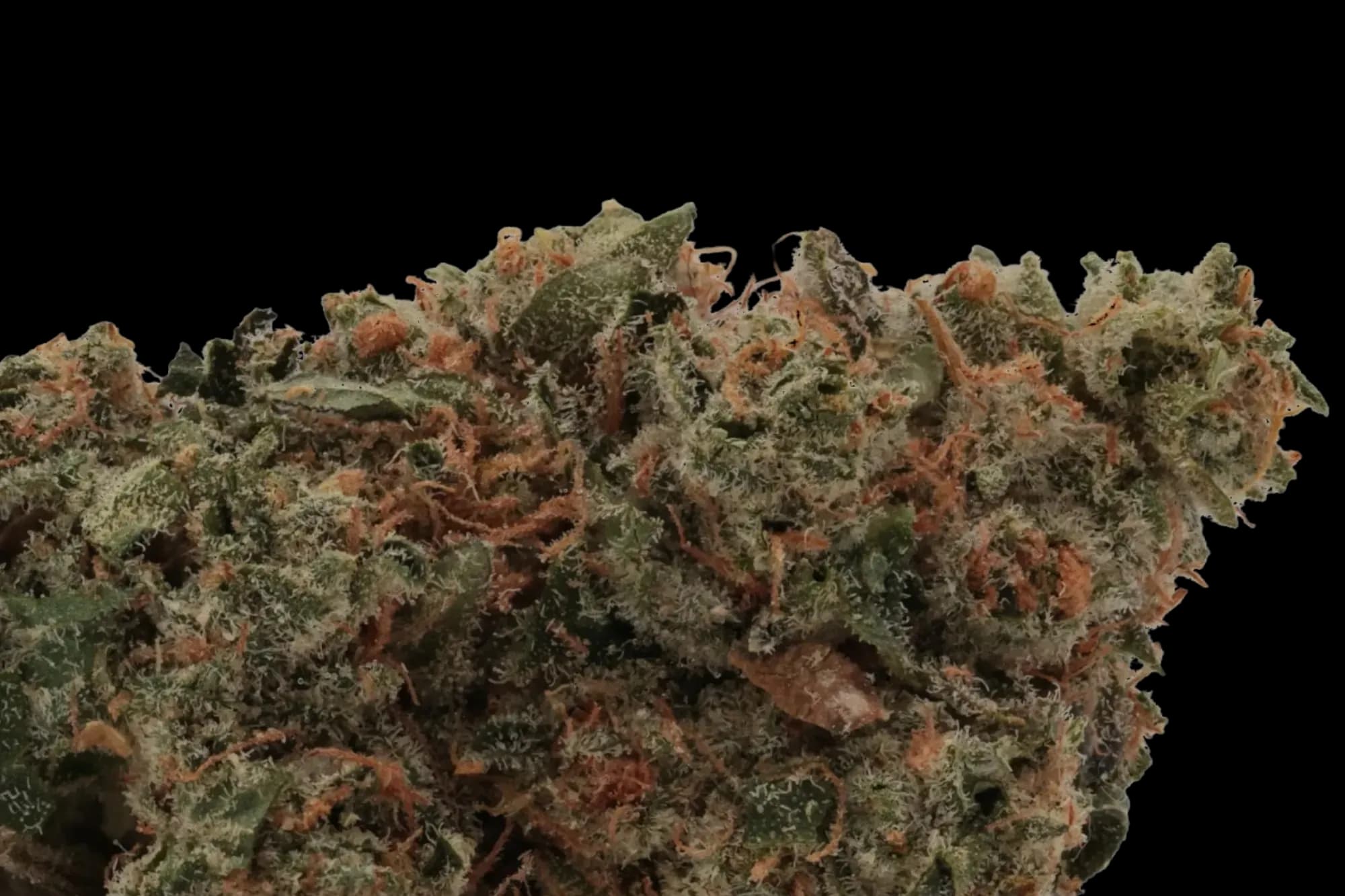 Med. Cannabis
