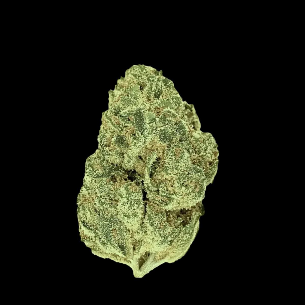 Med. Cannabis