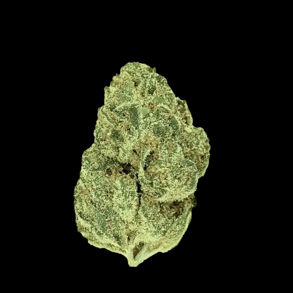 Med. Cannabis