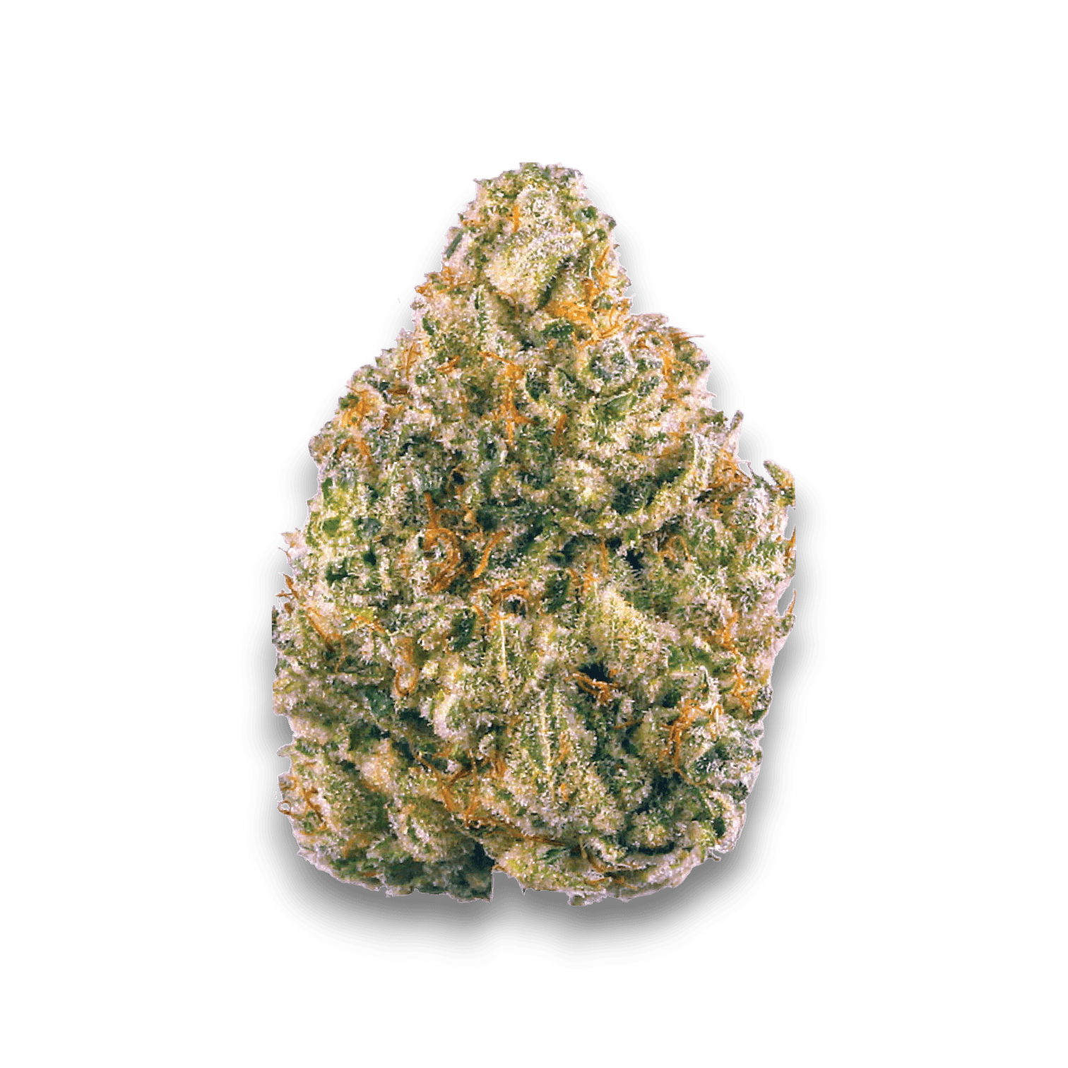 Med. Cannabis