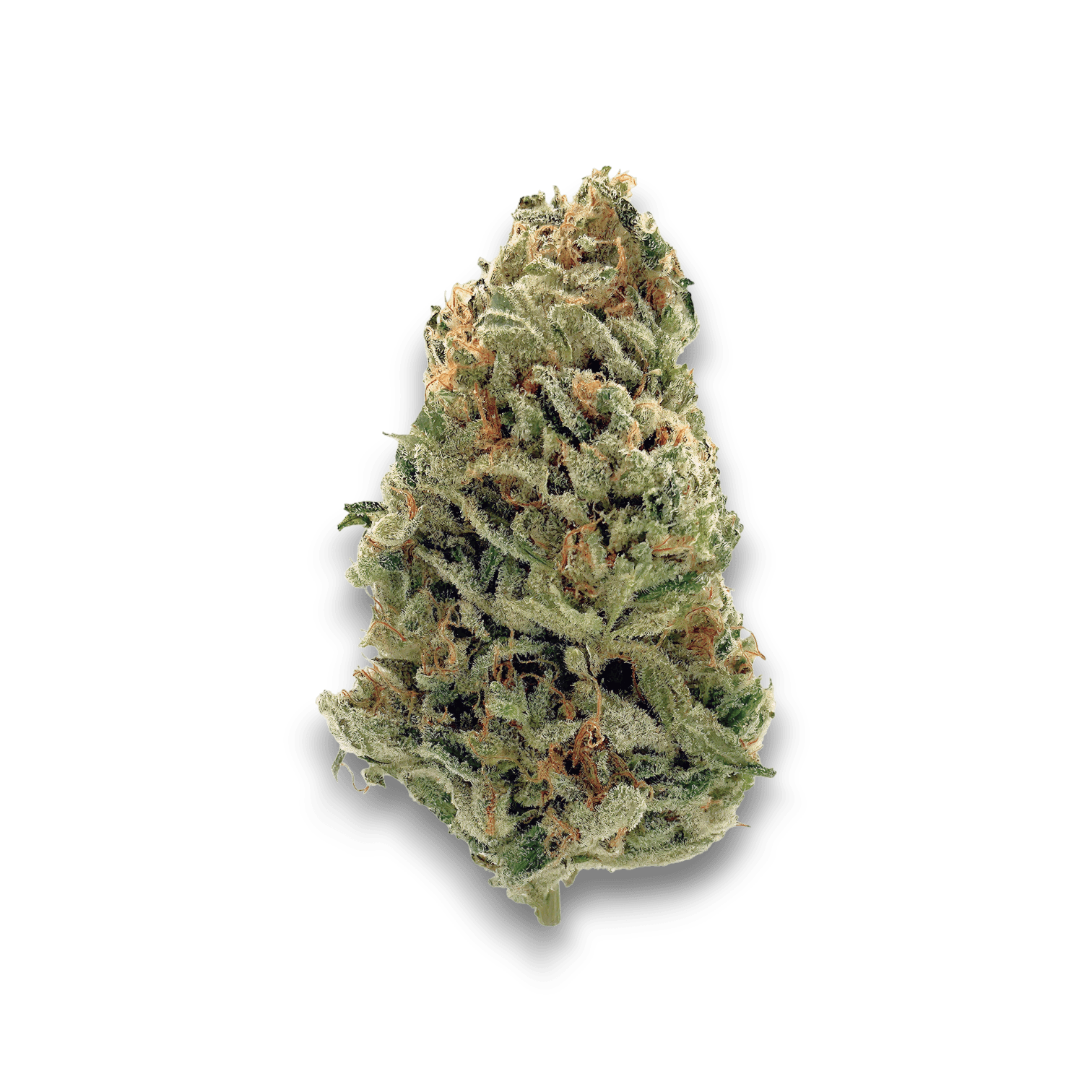 Med. Cannabis