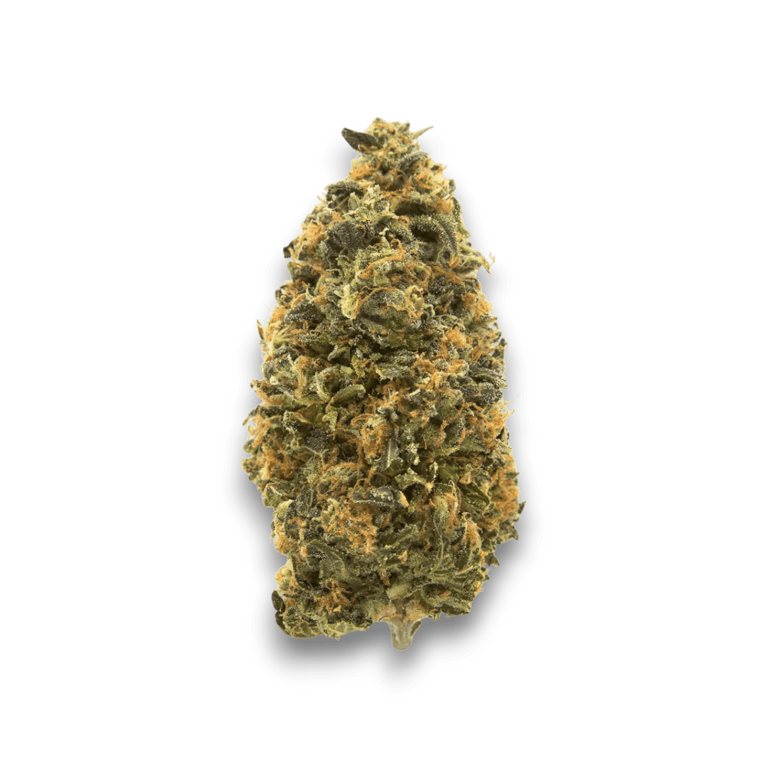 Med. Cannabis