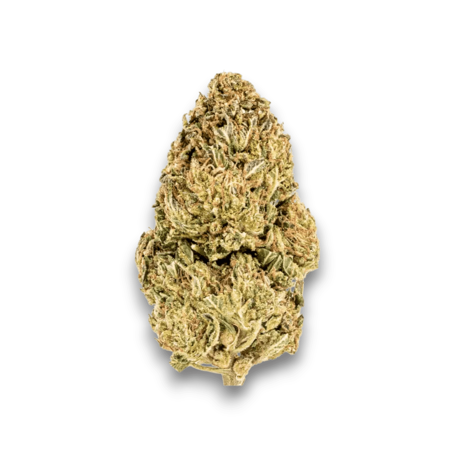 Med. Cannabis