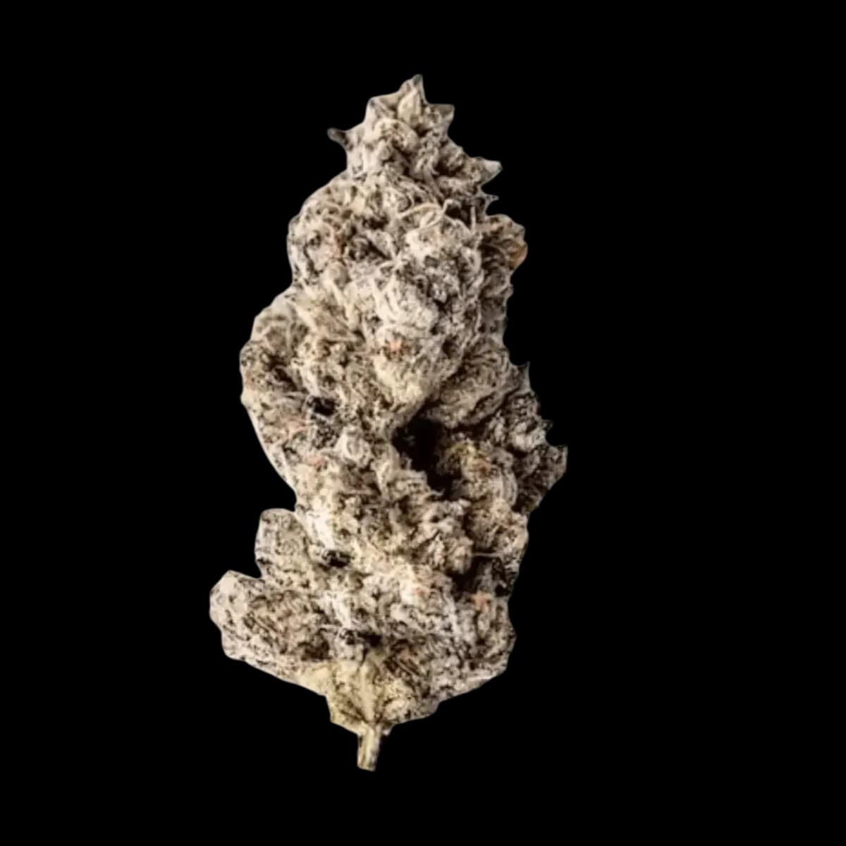 Med. Cannabis