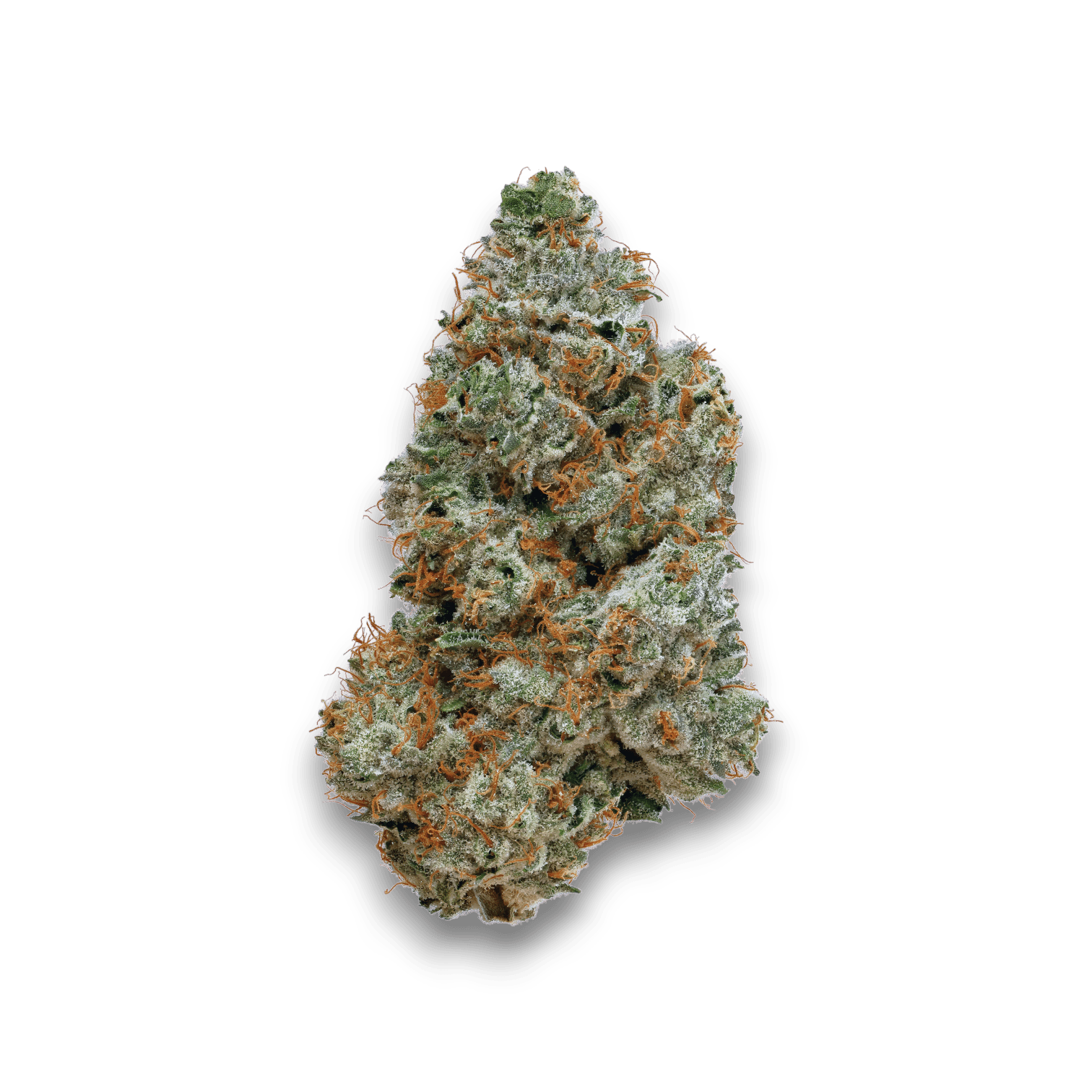 Med. Cannabis