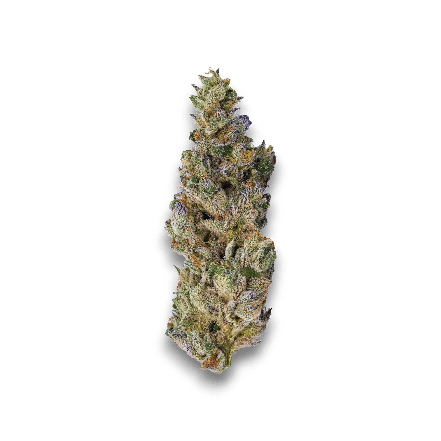 Med. Cannabis