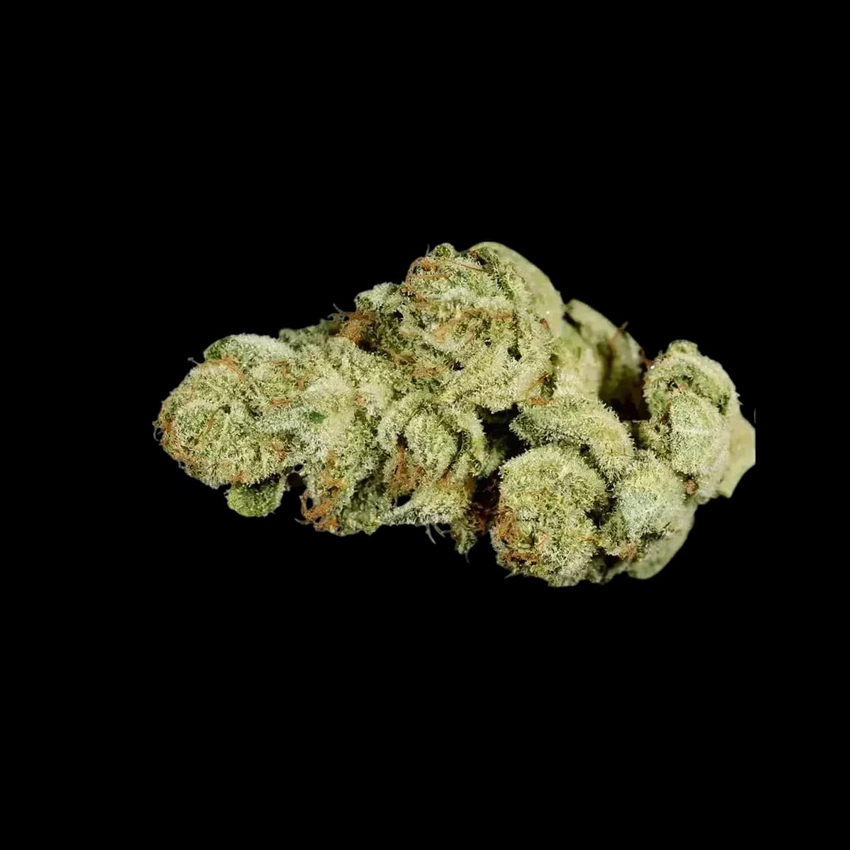 Med. Cannabis