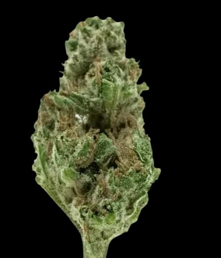 Med. Cannabis