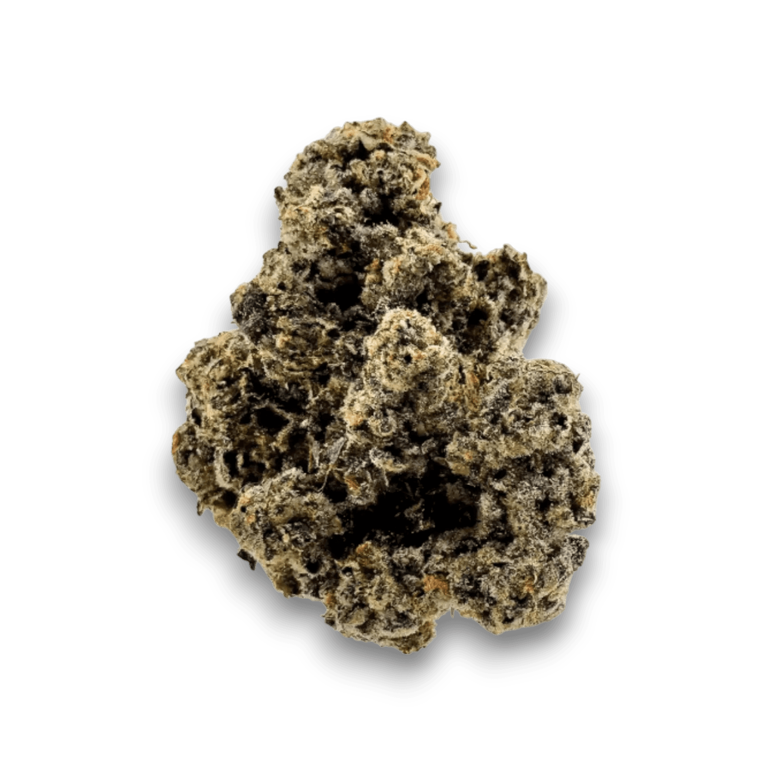 California´s Medical 30/1 CM CRAFT NO. 1