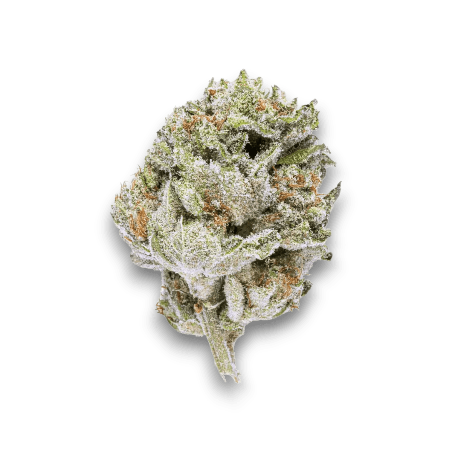 Med. Cannabis