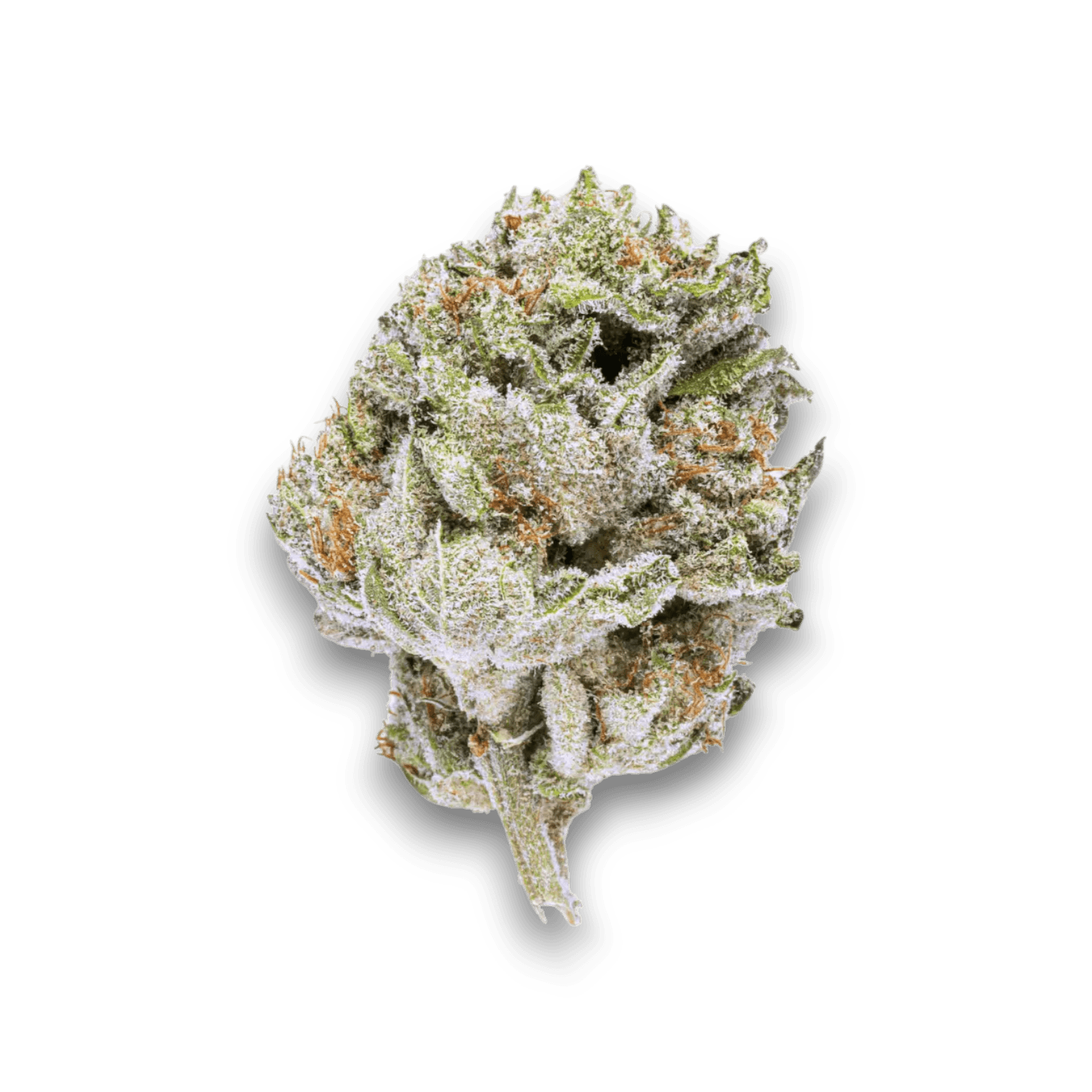 Med. Cannabis