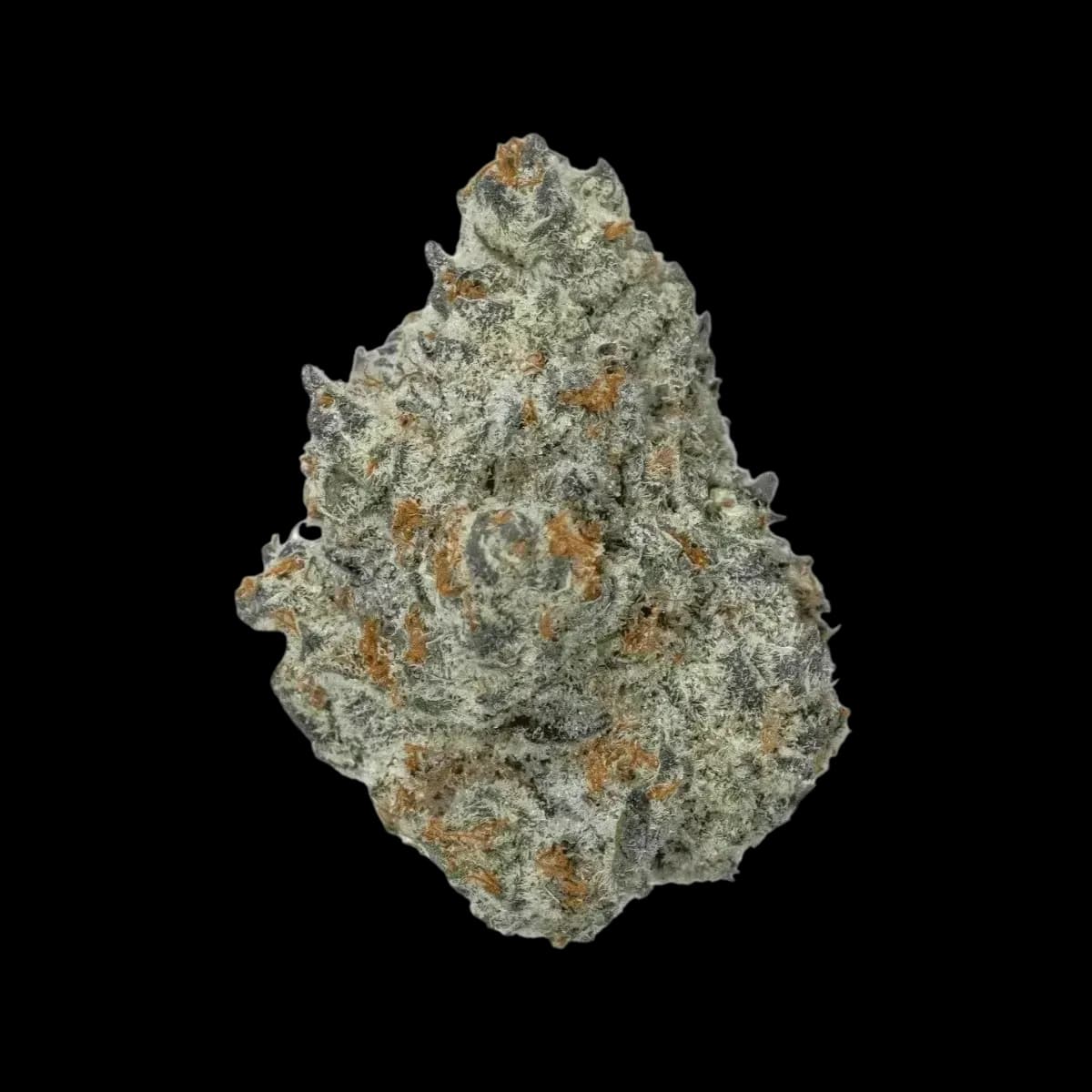 Cannabis 25/1 CGD KU.