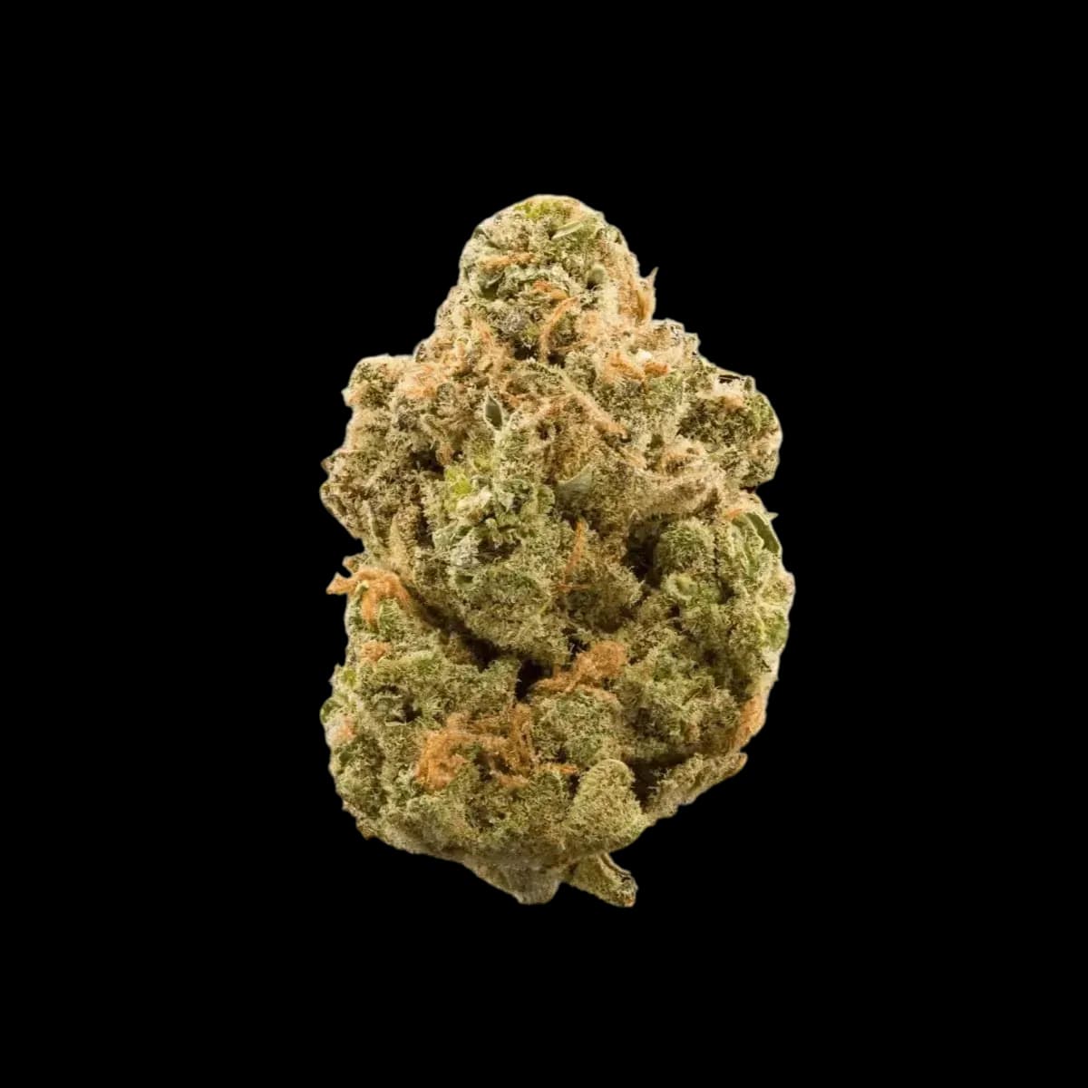 Cannabis 27/1 CGD KU.