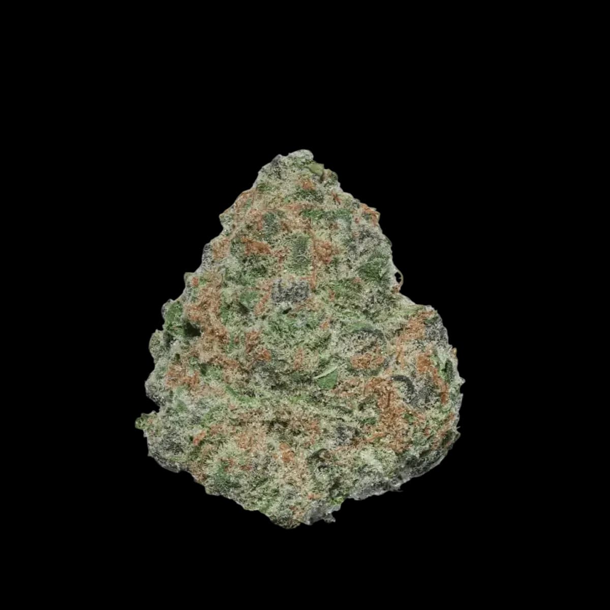 Cannabis 27/1 CGD KU. SS