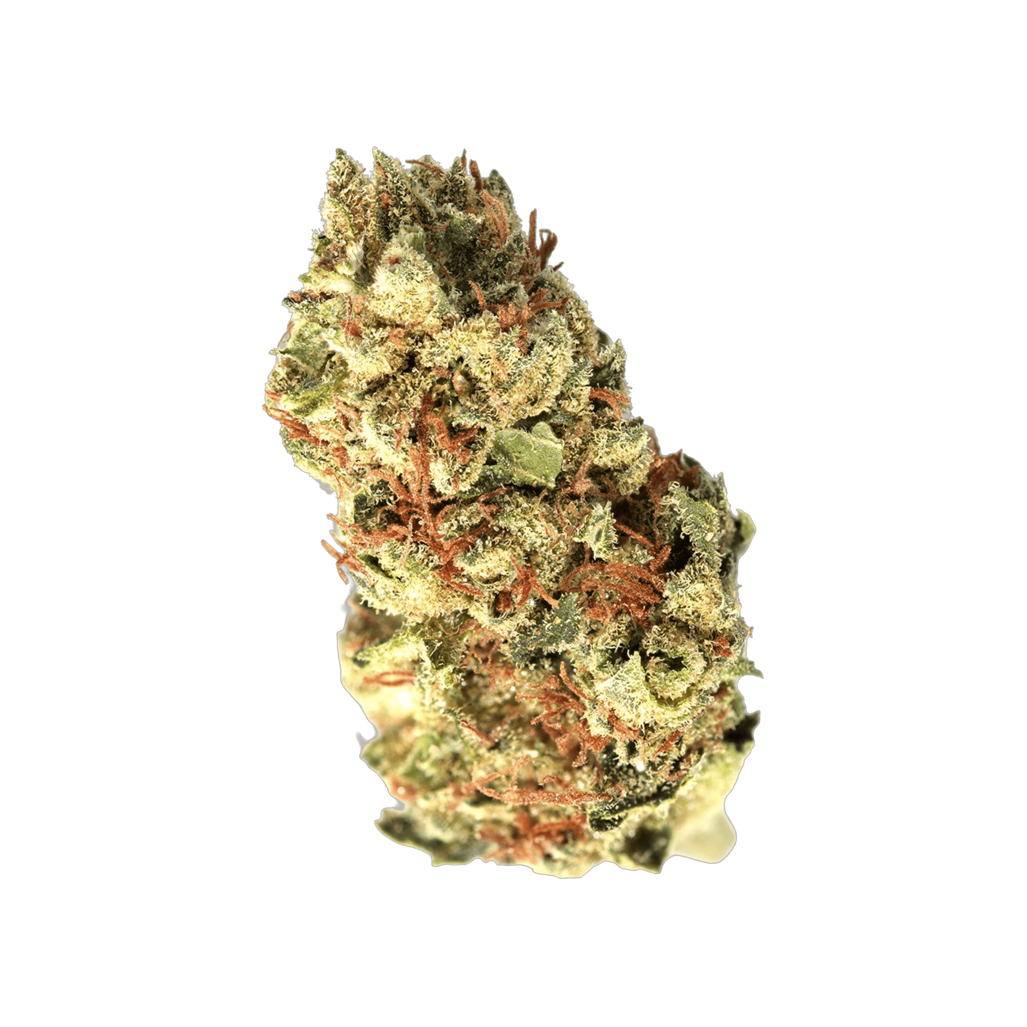 Cannabis flos 14/1 CL Ku. Doug’s Varin