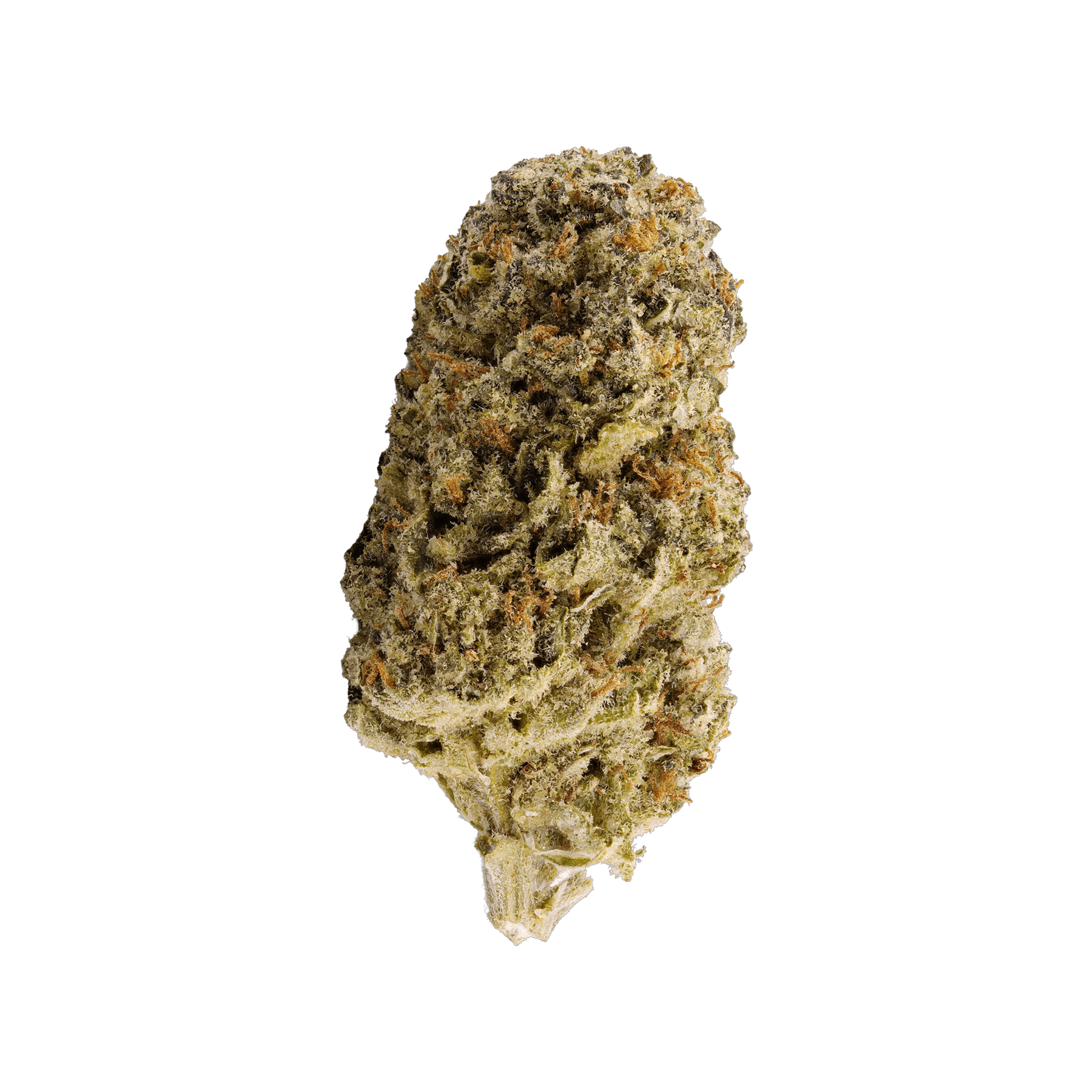 Med. Cannabis