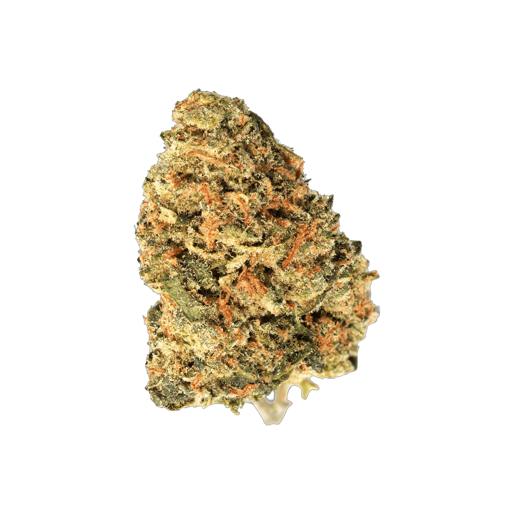 Cannabis flos 25/1 CSF Carnez Citric DP