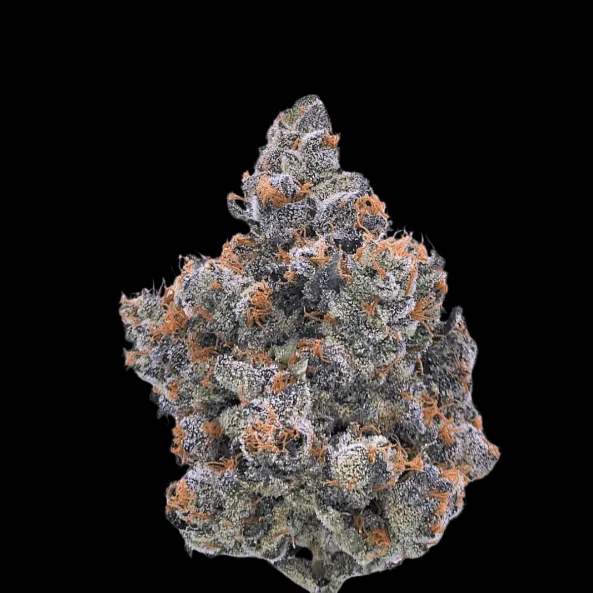 Med. Cannabis