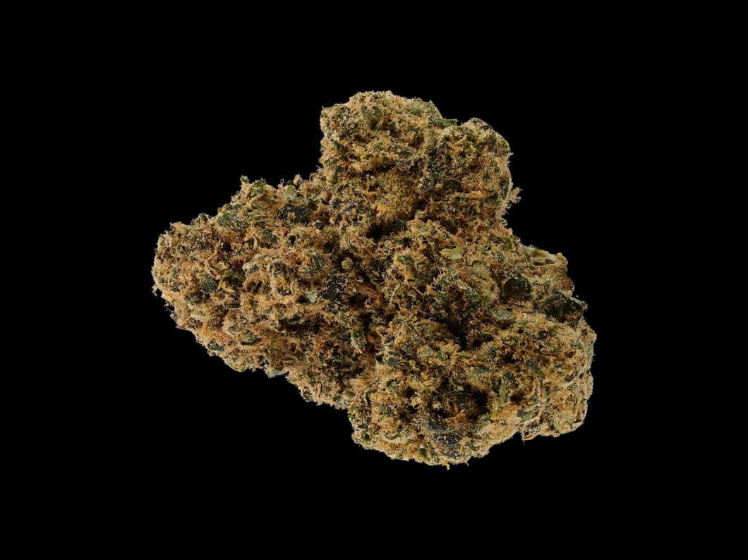 Cannabis flos 31/1 COR Tangerine Slush