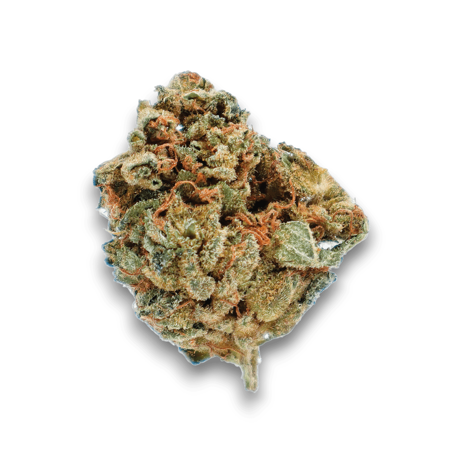 Med. Cannabis