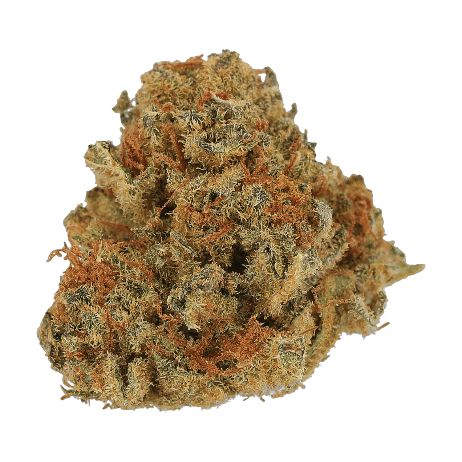 Cannamedical Balanced forte CO 10/10