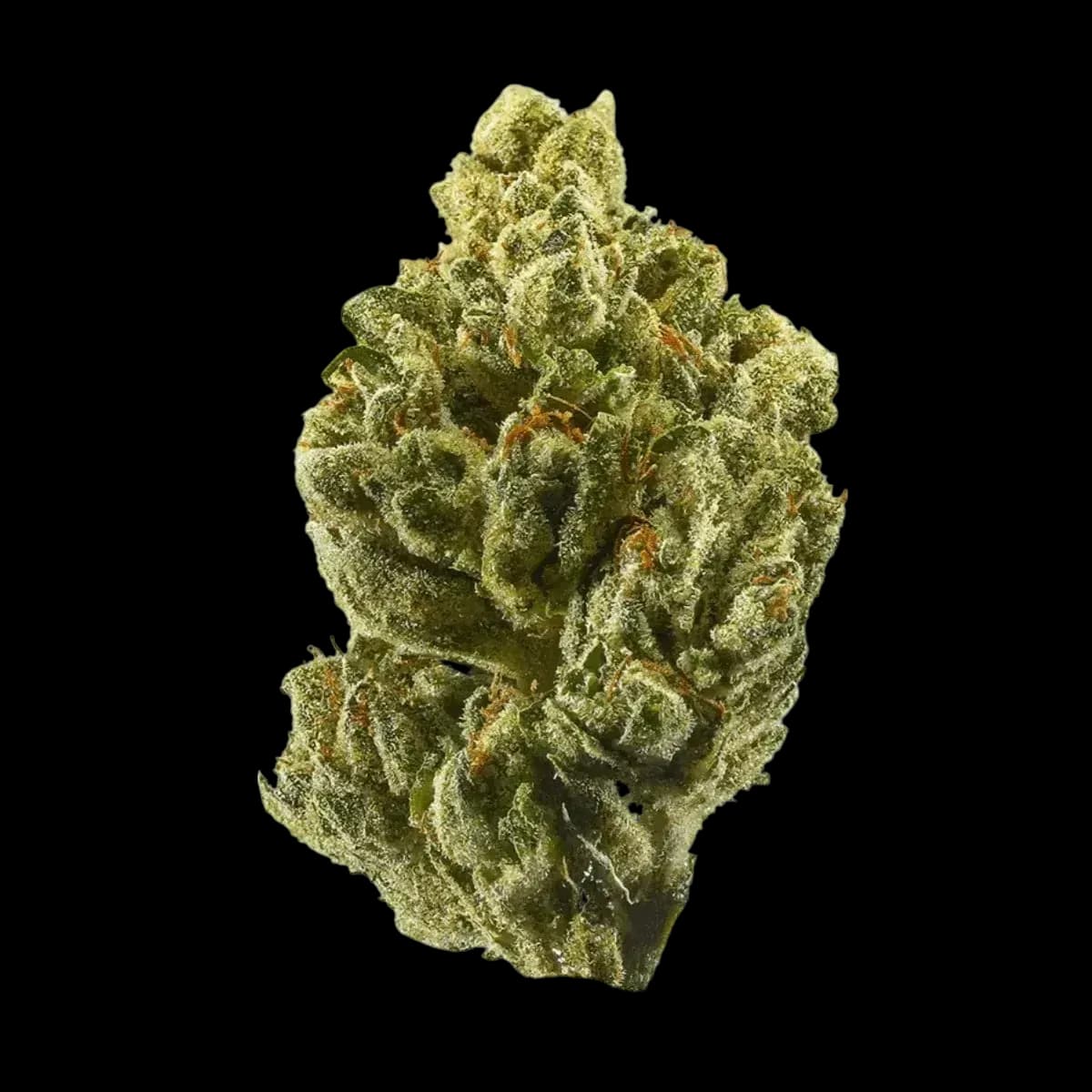 Med. Cannabis