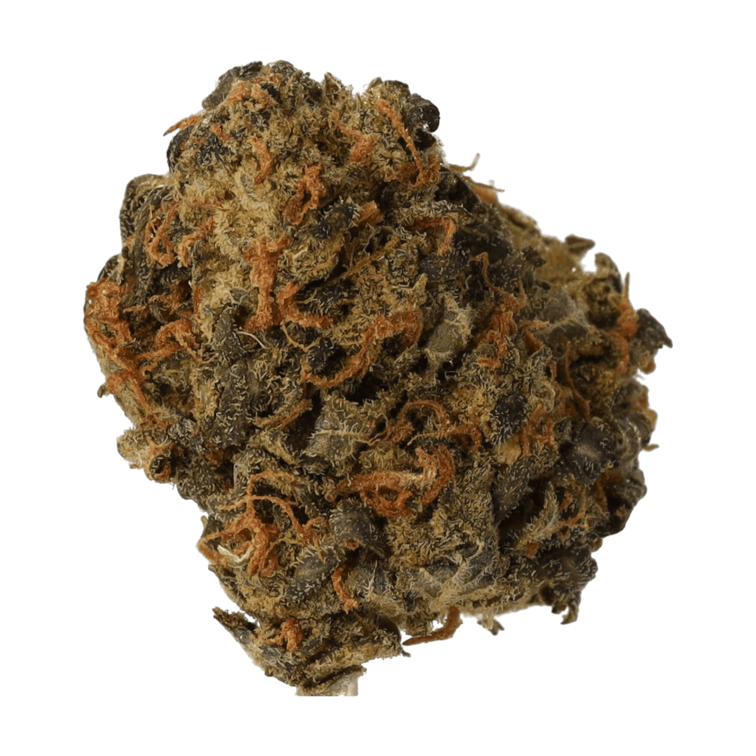 Cannamedical CM 24/1 OG Kush