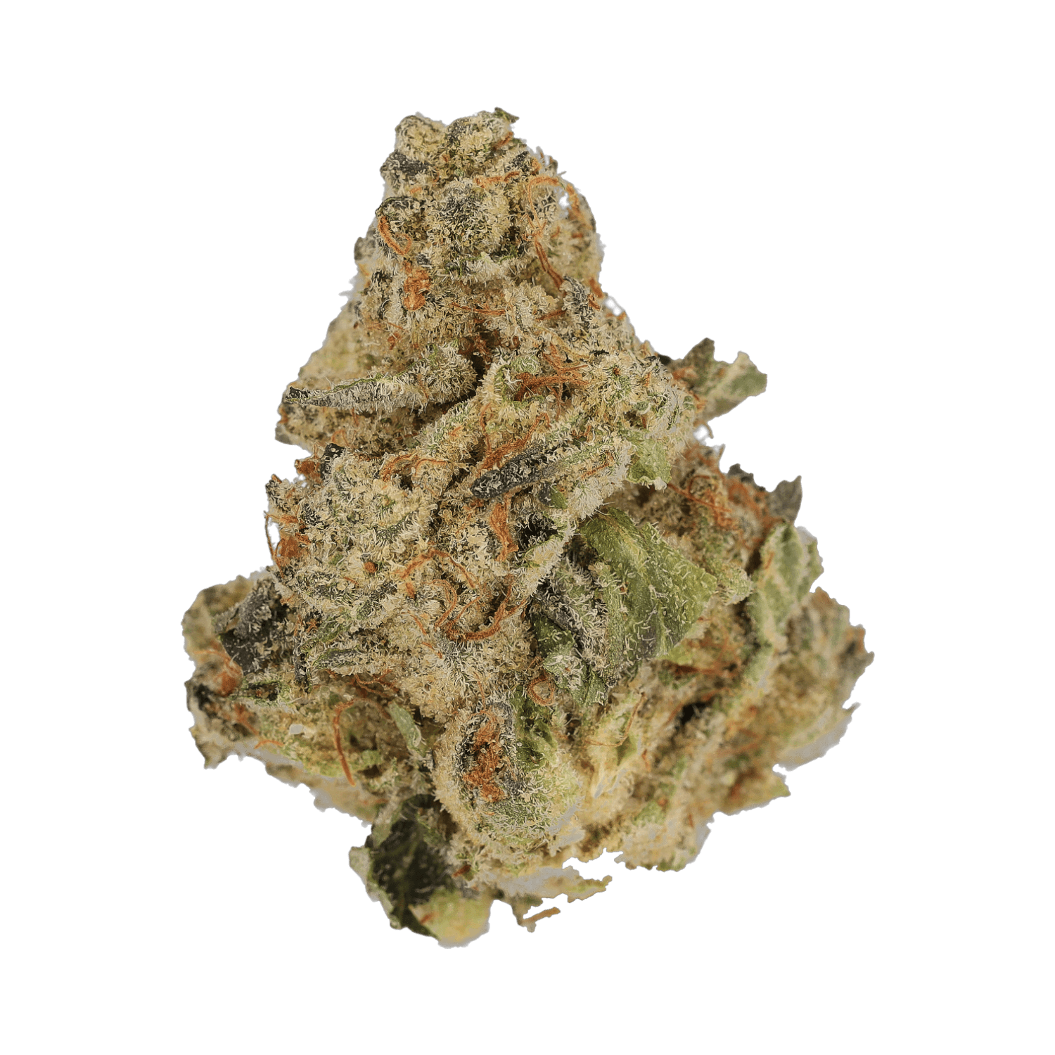 Cannamedical CM 30/1 DM