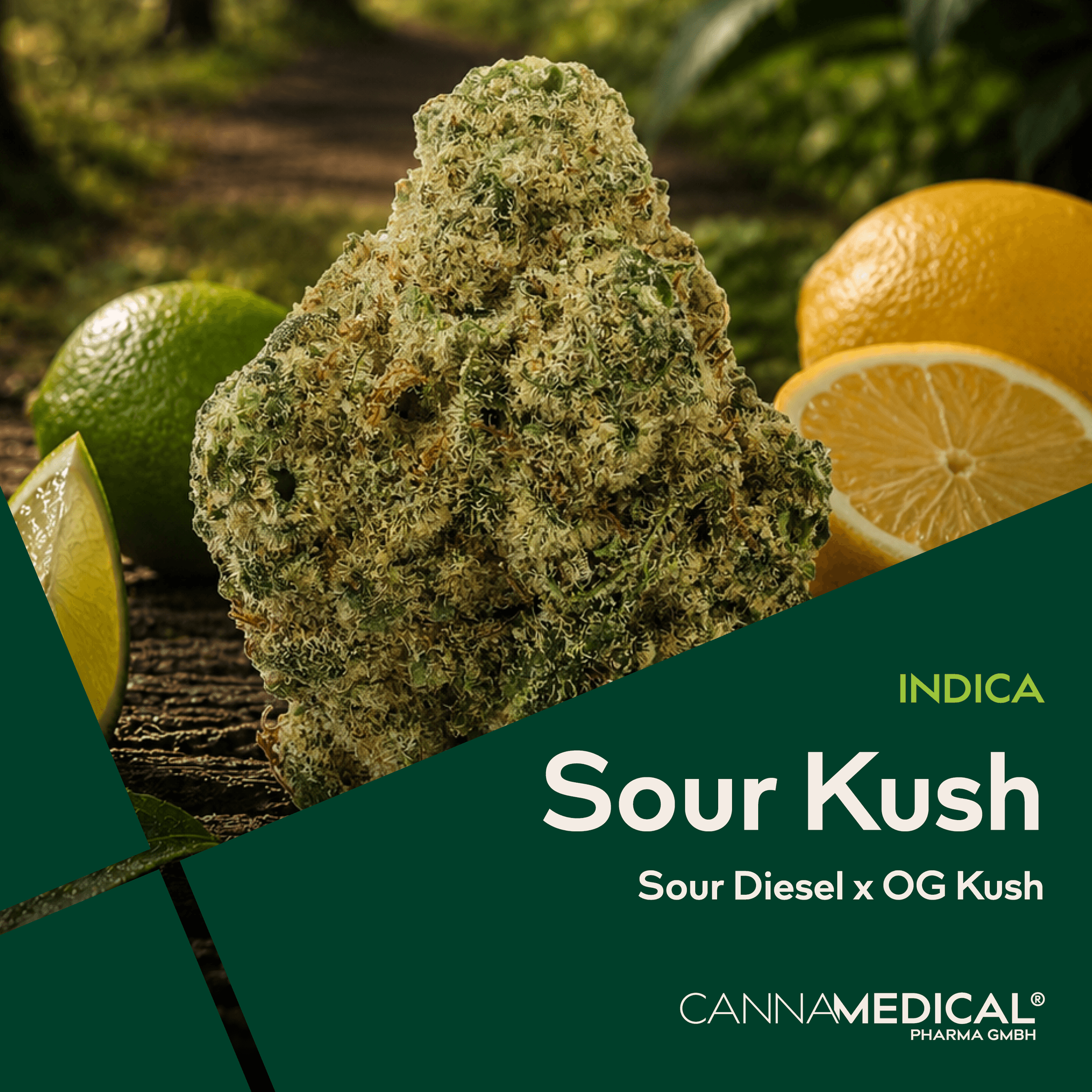 Med. Cannabis