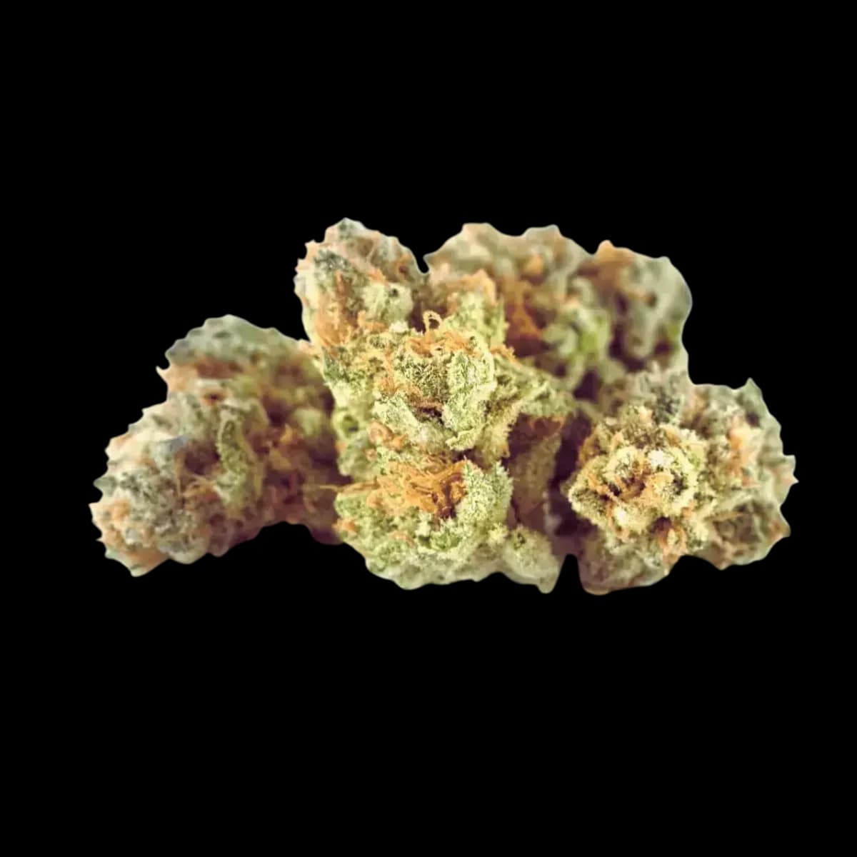 Med. Cannabis