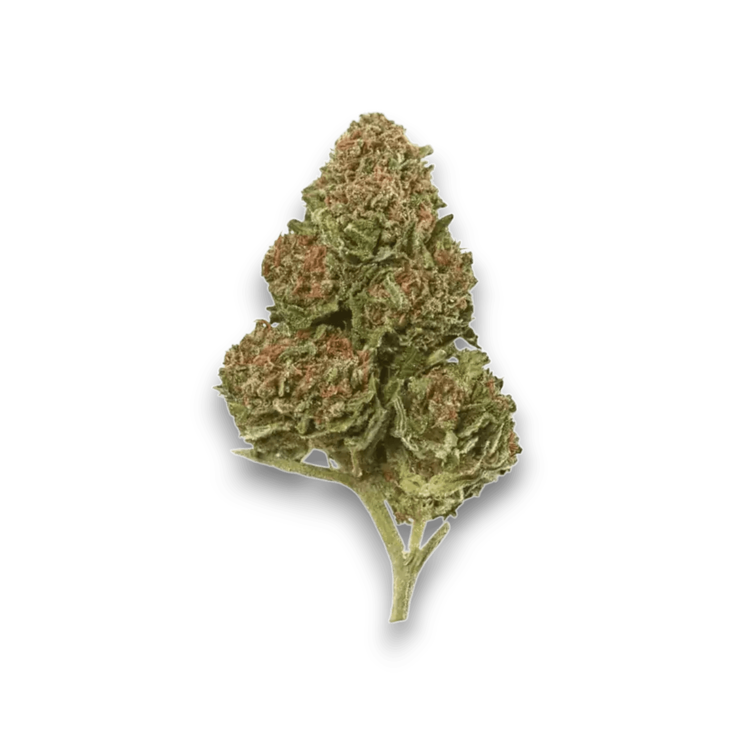 Med. Cannabis