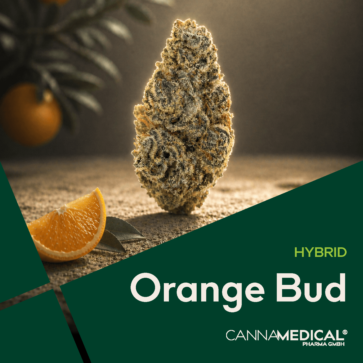 Med. Cannabis