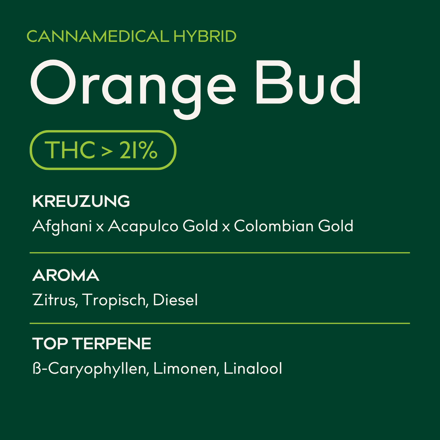 Orange Bud – Hybrid Classic KA