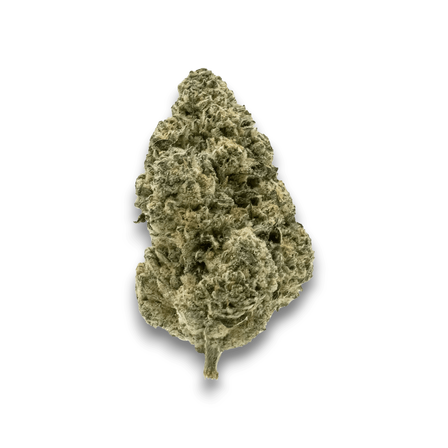 Med. Cannabis