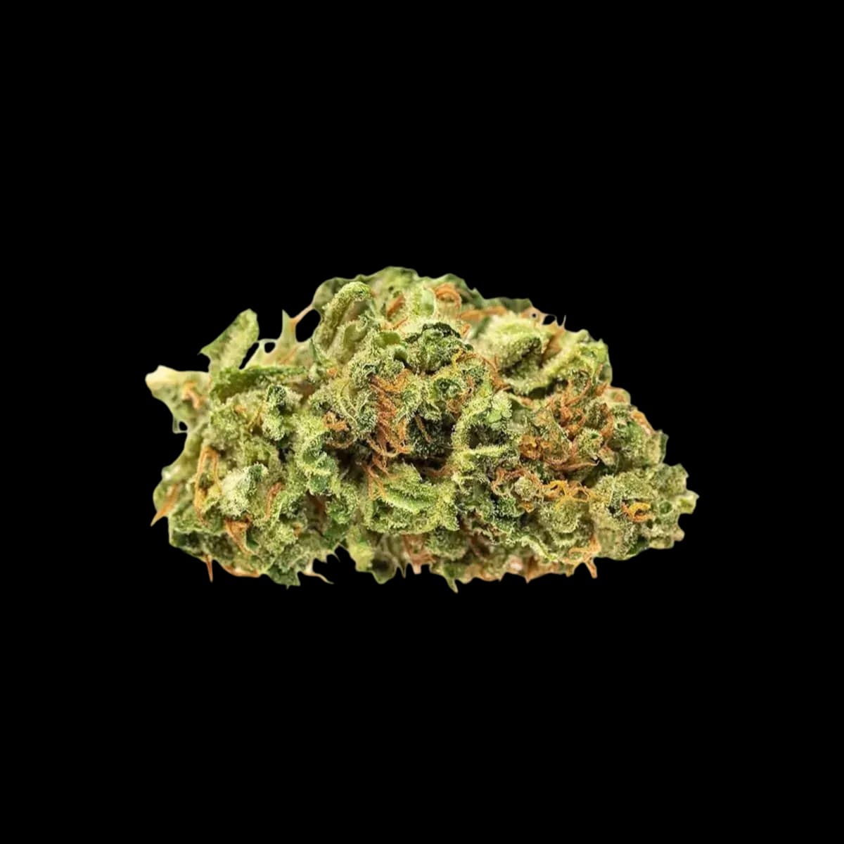 Med. Cannabis
