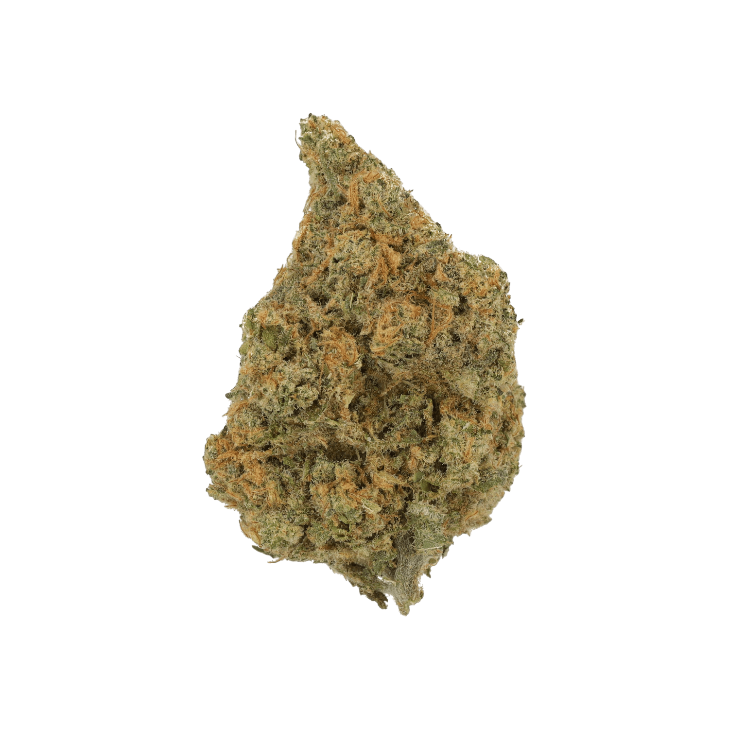 Cannamedical Hybrid Light NM