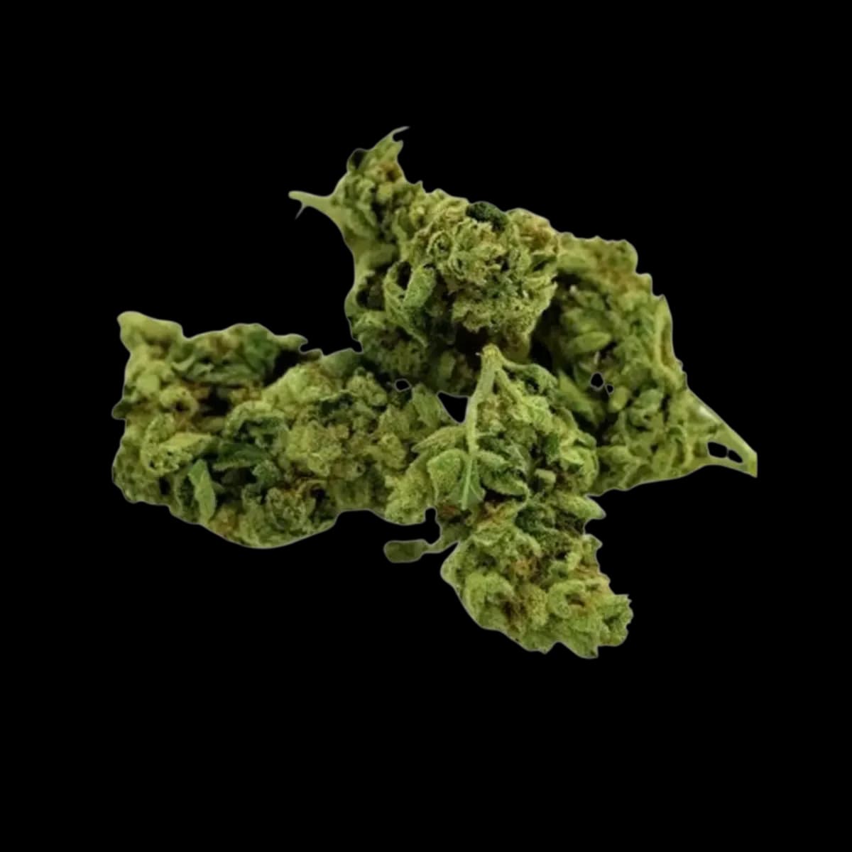 Med. Cannabis