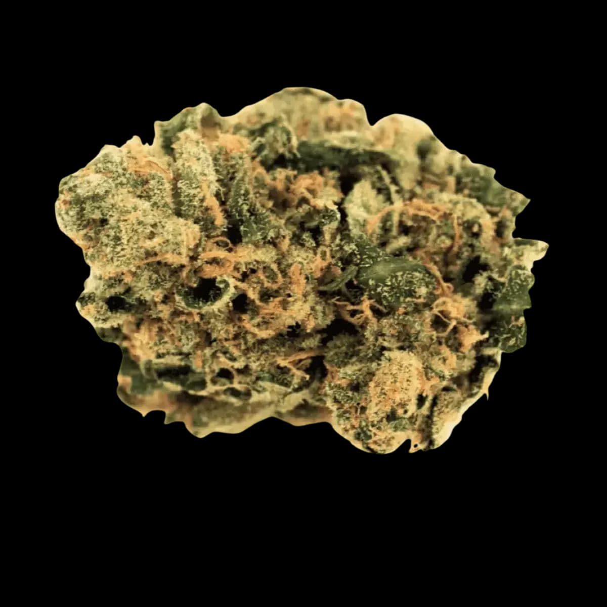 Med. Cannabis