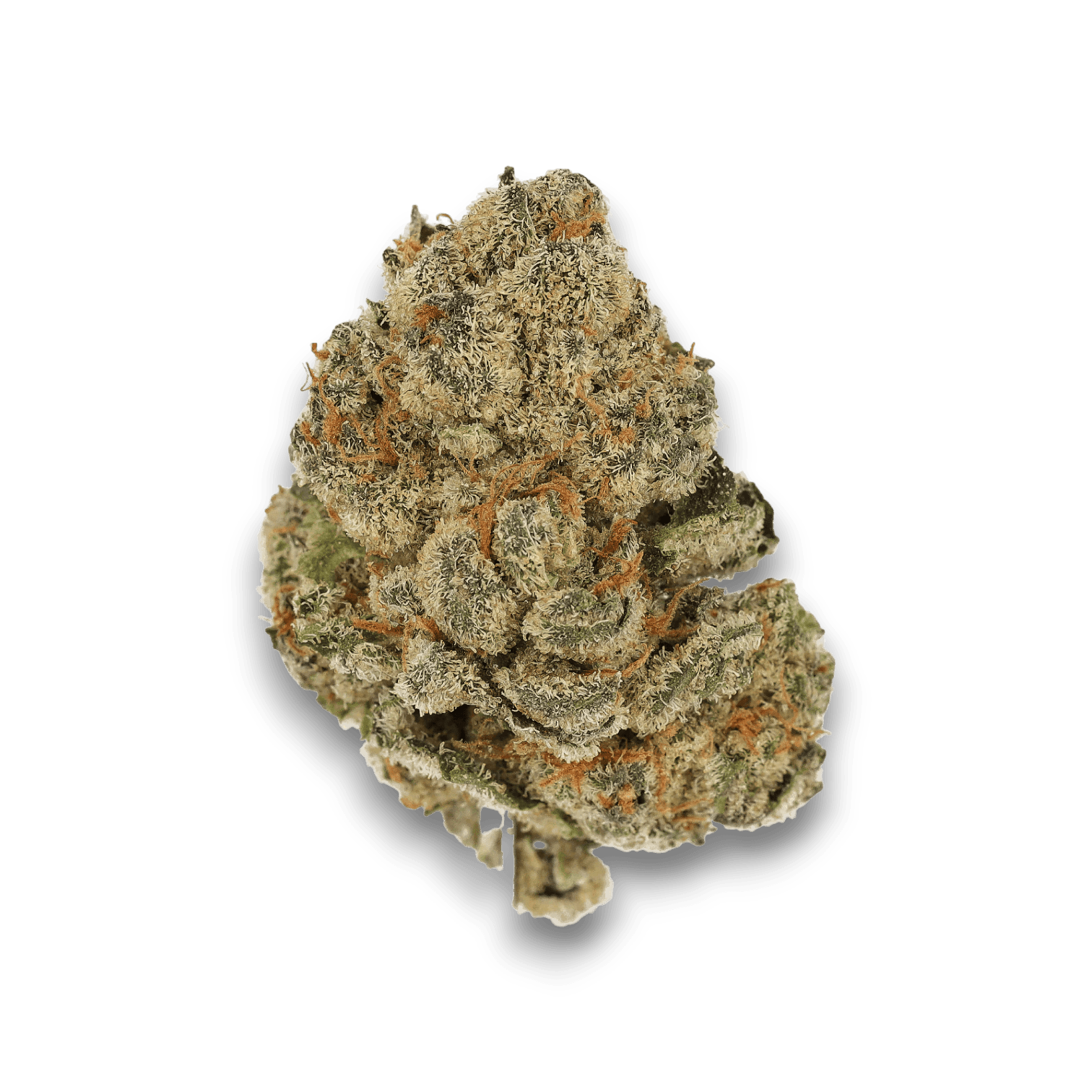 Med. Cannabis