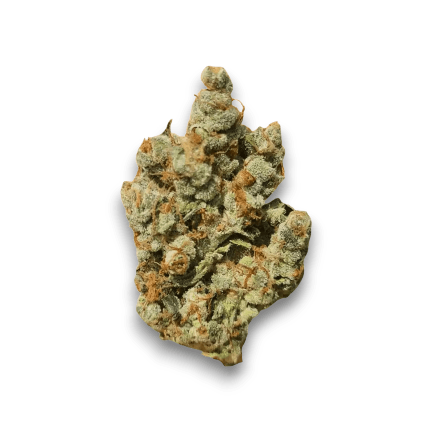 Cannamedical Sativa Classic AU VE