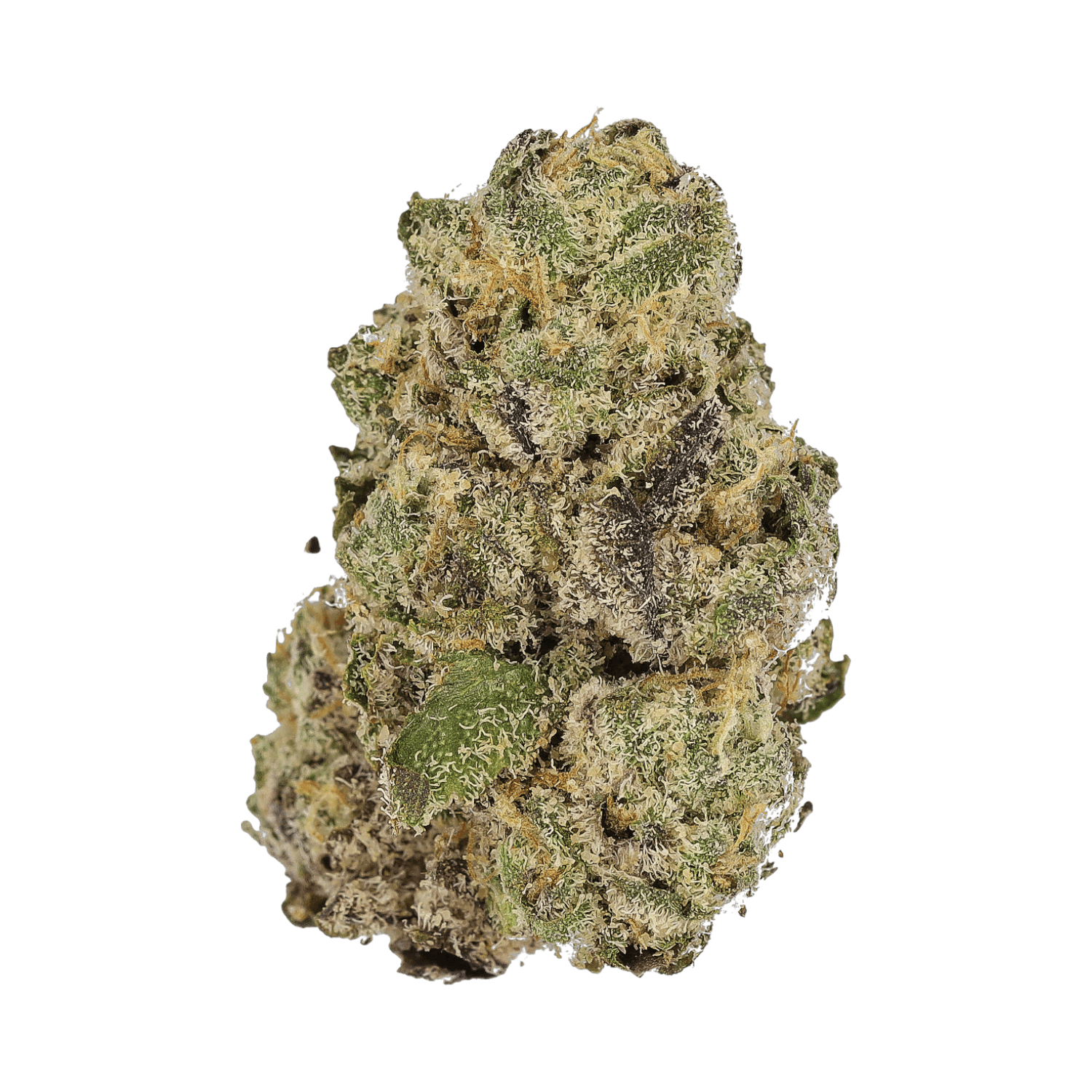 Cannamedical Sativa Classic NM WT