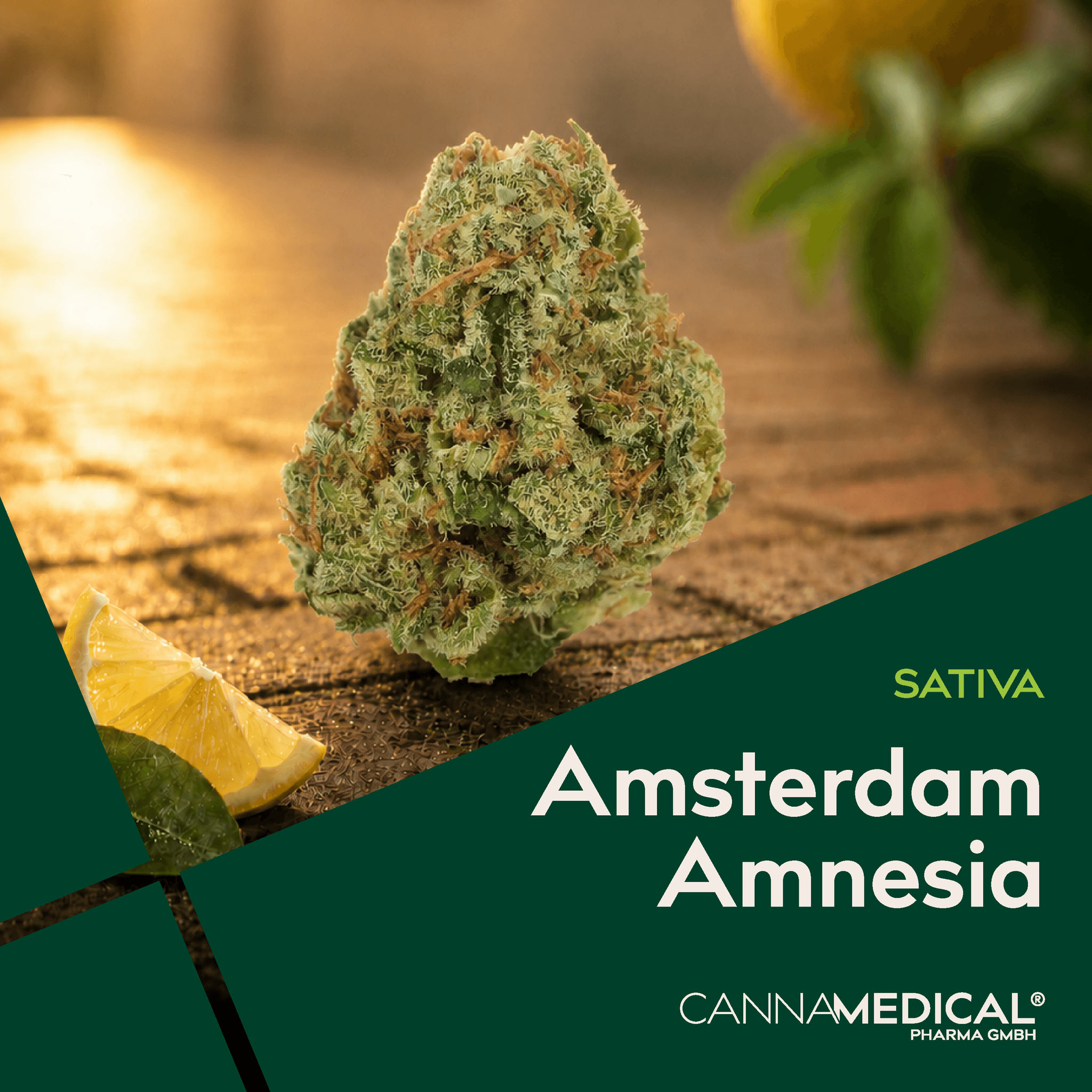 Med. Cannabis