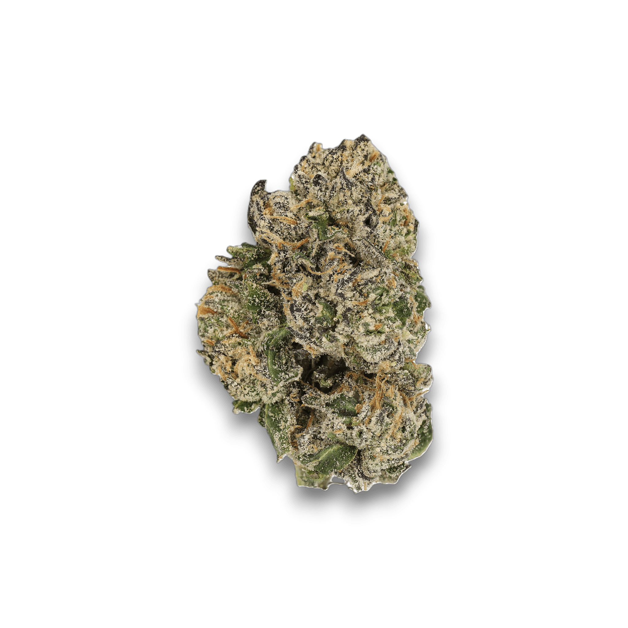 Med. Cannabis