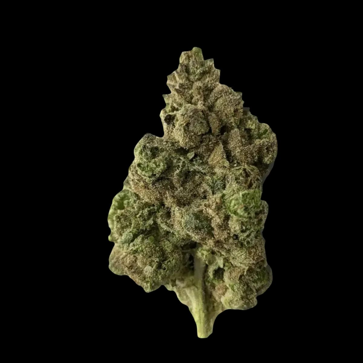 Med. Cannabis