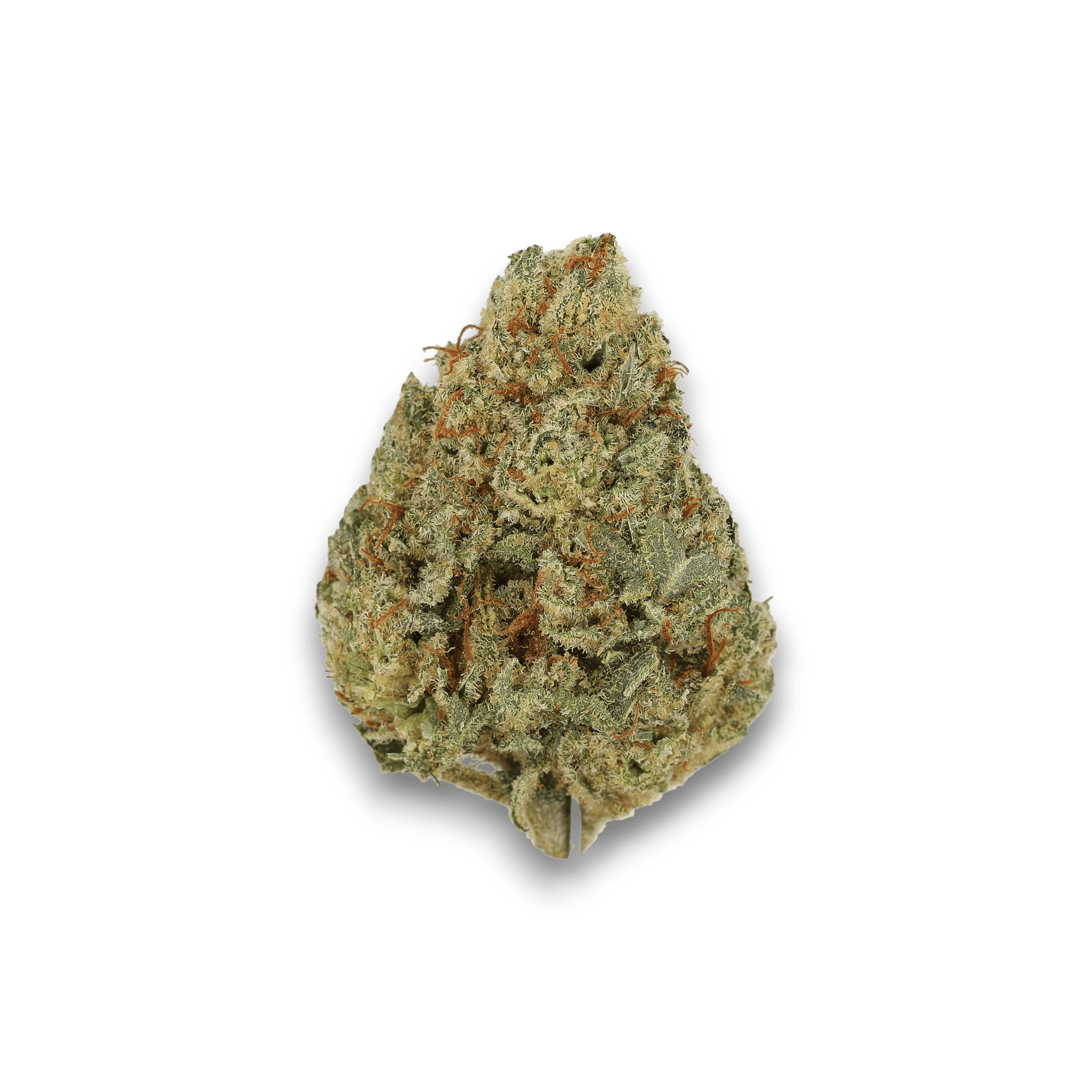 Med. Cannabis