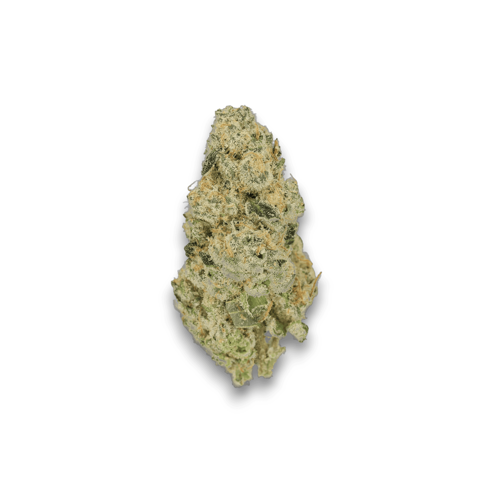 Med. Cannabis