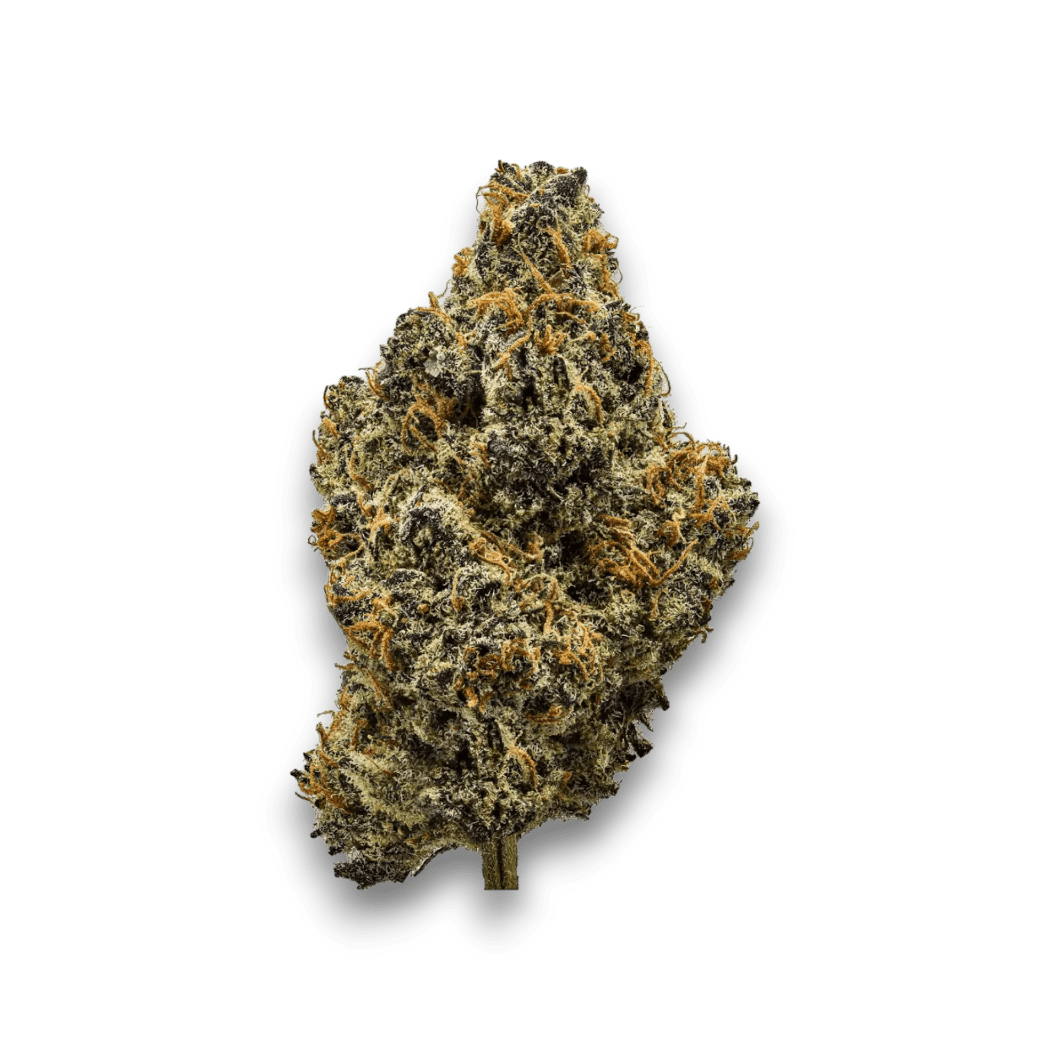 Med. Cannabis