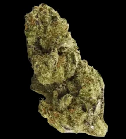 Med. Cannabis