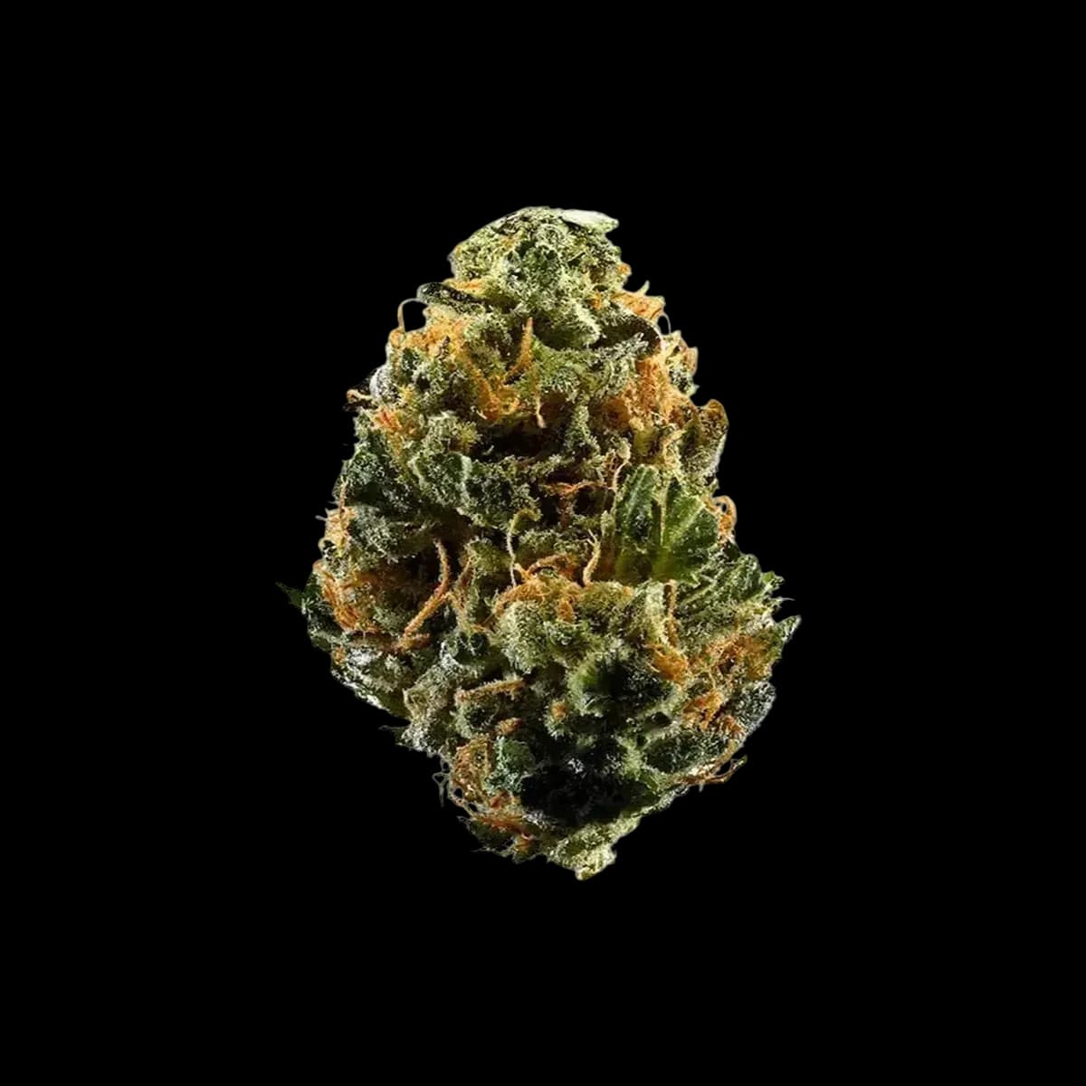 Med. Cannabis