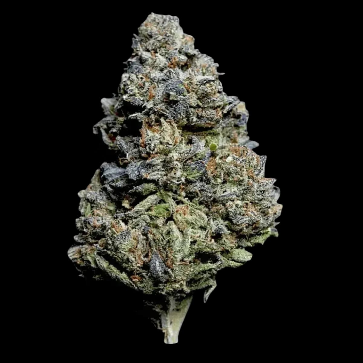 Med. Cannabis